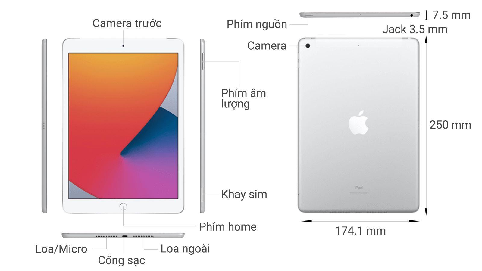 Thiết kế iPad Gen 8 (4G+Wifi) 10.2 inch 2020
